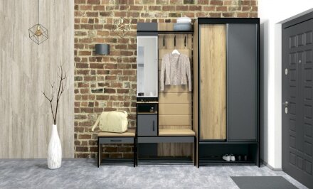 Шкаф купе с зеркалом Ольга Лофт 